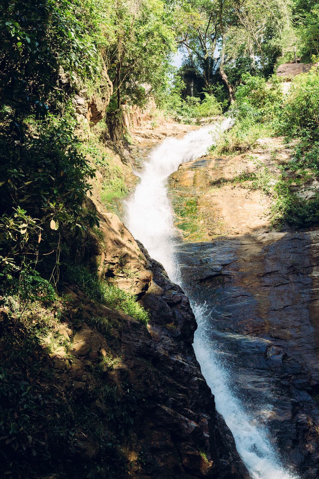 Hike Aburi "1st May Labour Day": A well curated and hospitable hiking experience in the beautiful surrounds of Aburi view 5
