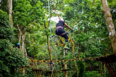 We-Ape Mega Zipline & Adventure Park 5