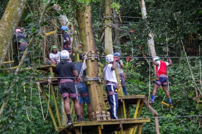 We-Ape Mega Zipline & Adventure Park 3